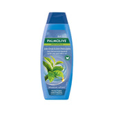 Palmolive Naturals 2in1 Shampoo Anti-Fall & Anti-Dandruff - 380ml